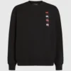 Ikon-sweatshirt med trykk