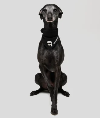 K/PET BANDANA